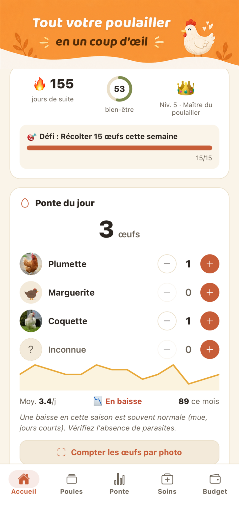 CotCot : les œufs du jour, poule par poule.